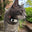 mycatexposed logo
